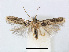  ( - RMNH.INS.24547)  @14 [ ] CreativeCommons - Attribution Non-Commercial Share-Alike (2015) Unspecified Naturalis Biodiversity Centre