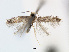  ( - RMNH.INS.24555)  @12 [ ] CreativeCommons - Attribution Non-Commercial Share-Alike (2015) Unspecified Naturalis Biodiversity Centre