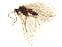  ( - ALetardi170)  @11 [ ] CreativeCommons - Attribution Share - Alike (2024) CBG Photography Group Centre for Biodiversity Genomics
