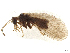  ( - ALetardi171)  @11 [ ] CreativeCommons - Attribution Share - Alike (2024) CBG Photography Group Centre for Biodiversity Genomics
