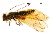  ( - ALetardi047)  @11 [ ] CreativeCommons - Attribution (2017) CBG Photography Group Centre for Biodiversity Genomics
