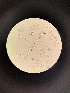  (Ceriosporopsis capillacea - M24MAR0027D2_FB124)  @11 [ ] by-sa (2025) Norwegian marine fungi Institute of marine research