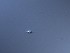  ( - M24NMF0008D3b_NMF173_Culture)  @11 [ ] by-sa (2025) Norwegian marine fungi UiT The Arctic University of Norway