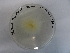  ( - TRa2022-17c.cultD2CAA)  @11 [ ] by-sa (2023) Norwegian marine fungi UiT The Arctic University of Norway