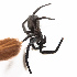  ( - N4N-MI-2)  @11 [ ] CreativeCommons - Attribution (2013) Ken-ichi Ueda Unspecified
