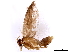  ( - BIOUG12672-F09)  @11 [ ] CreativeCommons - Attribution (2023) CBG Photography Group Centre for Biodiversity Genomics