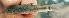  ( - NGA-2014-0102)  @11 [ ] CreativeCommons - Attribution Non-Commercial Share-Alike (2015) Unspecified SNSB, Zoologische Staatssammlung Muenchen