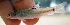  ( - NGA-2014-0112)  @11 [ ] CreativeCommons - Attribution Non-Commercial Share-Alike (2015) Unspecified SNSB, Zoologische Staatssammlung Muenchen