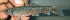  ( - NGA-2014-0118)  @11 [ ] CreativeCommons - Attribution Non-Commercial Share-Alike (2015) Unspecified SNSB, Zoologische Staatssammlung Muenchen