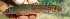  ( - NGA-2014-0193)  @11 [ ] CreativeCommons - Attribution Non-Commercial Share-Alike (2015) Unspecified SNSB, Zoologische Staatssammlung Muenchen
