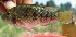  ( - NGA-2014-0203)  @11 [ ] CreativeCommons - Attribution Non-Commercial Share-Alike (2015) Unspecified SNSB, Zoologische Staatssammlung Muenchen