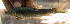  ( - NGA-2014-0222)  @11 [ ] CreativeCommons - Attribution Non-Commercial Share-Alike (2015) Unspecified SNSB, Zoologische Staatssammlung Muenchen