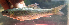  ( - NGA-2014-0233)  @11 [ ] CreativeCommons - Attribution Non-Commercial Share-Alike (2015) Unspecified SNSB, Zoologische Staatssammlung Muenchen