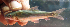  ( - NGA-2014-0234)  @11 [ ] CreativeCommons - Attribution Non-Commercial Share-Alike (2015) Unspecified SNSB, Zoologische Staatssammlung Muenchen
