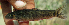  ( - NGA-2014-0268)  @11 [ ] CreativeCommons - Attribution Non-Commercial Share-Alike (2015) Unspecified SNSB, Zoologische Staatssammlung Muenchen