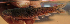  ( - NGA-2014-0326)  @11 [ ] CreativeCommons - Attribution Non-Commercial Share-Alike (2015) Unspecified SNSB, Zoologische Staatssammlung Muenchen