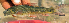  ( - NGA-2014-0369)  @11 [ ] CreativeCommons - Attribution Non-Commercial Share-Alike (2015) Unspecified SNSB, Zoologische Staatssammlung Muenchen
