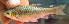  ( - NGA-2014-0385)  @11 [ ] CreativeCommons - Attribution Non-Commercial Share-Alike (2015) Unspecified SNSB, Zoologische Staatssammlung Muenchen