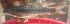  ( - NGA-2014-0526)  @11 [ ] CreativeCommons - Attribution Non-Commercial Share-Alike (2015) Unspecified SNSB, Zoologische Staatssammlung Muenchen