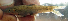  (Garra cf. trewavasae - NGA-2014-0544)  @13 [ ] CreativeCommons - Attribution Non-Commercial Share-Alike (2015) Unspecified SNSB, Zoologische Staatssammlung Muenchen