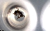  ( - RE21-NG1-HYM-0056)  @11 [ ] by-nc-sa (2024) Nina Grella University of Bayreuth