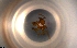  ( - RE21-NG1-HYM-0094)  @11 [ ] by-nc-sa (2024) Nina Grella University of Bayreuth