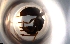  ( - RE21-NG1-HYM-0105)  @11 [ ] CreativeCommons by-nc-sa (2024) Nina Grella University of Bayreuth