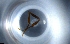  ( - RE21-NG1-HYM-0141)  @11 [ ] CreativeCommons by-nc-sa (2024) Nina Grella University of Bayreuth