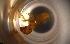  ( - RE21-NG1-HYM-0155)  @11 [ ] CreativeCommons by-nc-sa (2024) Nina Grella University of Bayreuth