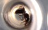  ( - RE21-NG1-HYM-0227)  @11 [ ] CreativeCommons by-nc-sa (2024) Nina Grella University of Bayreuth