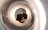  ( - RE21-NG1-HYM-0239)  @11 [ ] CreativeCommons by-nc-sa (2024) Nina Grella University of Bayreuth