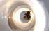  ( - RE21-NG1-HYM-0240)  @11 [ ] CreativeCommons by-nc-sa (2024) Nina Grella University of Bayreuth