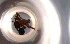  ( - RE21-NG1-HYM-0261)  @11 [ ] CreativeCommons by-nc-sa (2024) Nina Grella University of Bayreuth