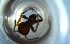  ( - RE21-NG1-HYM-0467)  @11 [ ] CreativeCommons by-nc-sa (2024) Nina Grella University of Bayreuth