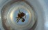  (Pheidole AGB3321 - RE21-NG1-HYM-0500)  @11 [ ] CreativeCommons by-nc-sa (2024) Nina Grella University of Bayreuth