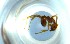  ( - RE21-NG1-HYM-0519)  @11 [ ] CreativeCommons by-nc-sa (2024) Nina Grella University of Bayreuth
