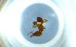  ( - RE21-NG1-HYM-0545)  @11 [ ] CreativeCommons by-nc-sa (2024) Nina Grella University of Bayreuth