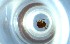  ( - RE21-NG1-HYM-0556)  @11 [ ] CreativeCommons by-nc-sa (2024) Nina Grella University of Bayreuth