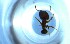  ( - RE21-NG1-HYM-0600)  @11 [ ] CreativeCommons by-nc-sa (2024) Nina Grella University of Bayreuth