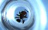  ( - RE21-NG1-HYM-0653)  @11 [ ] CreativeCommons by-nc-sa (2024) Nina Grella University of Bayreuth