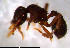  ( - RE21-NG1-HYM-0800)  @11 [ ] CreativeCommons by-nc-sa (2024) Nina Grella University of Bayreuth