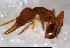  ( - RE21-NG1-HYM-0801)  @11 [ ] CreativeCommons by-nc-sa (2024) Nina Grella University of Bayreuth