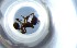  (Stenamma AGB1730 - RE21-NG1-HYM-0814)  @11 [ ] CreativeCommons by-nc-sa (2024) Nina Grella University of Bayreuth