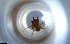  ( - RE21-NG1-HYM-0821)  @11 [ ] CreativeCommons by-nc-sa (2024) Nina Grella University of Bayreuth