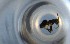  ( - RE21-NG1-HYM-0827)  @11 [ ] CreativeCommons by-nc-sa (2024) Nina Grella University of Bayreuth
