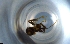  ( - RE21-NG1-HYM-0850)  @11 [ ] CreativeCommons by-nc-sa (2024) Nina Grella University of Bayreuth