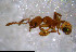  ( - RE21-NG1-HYM-0852)  @11 [ ] CreativeCommons by-nc-sa (2024) Nina Grella University of Bayreuth