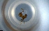  ( - RE21-NG1-HYM-0889)  @11 [ ] CreativeCommons by-nc-sa (2024) Nina Grella University of Bayreuth