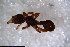  ( - RE21-NG1-HYM-0890)  @11 [ ] CreativeCommons by-nc-sa (2024) Nina Grella University of Bayreuth