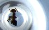  ( - RE21-NG1-HYM-1002)  @11 [ ] CreativeCommons by-nc-sa (2024) Nina Grella University of Bayreuth